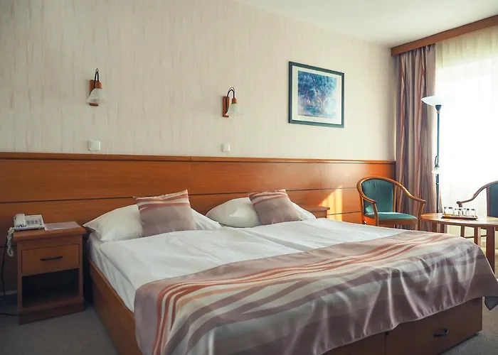 Panorama Hotel 3*